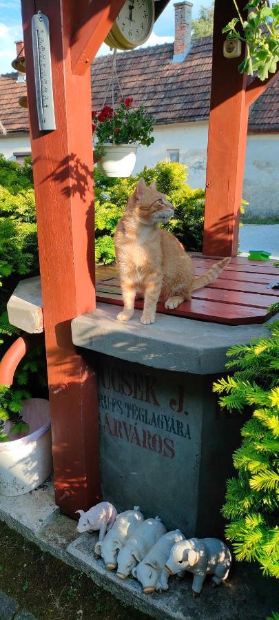 Aurora Haz Διαμέρισμα Zalakaros Εξωτερικό φωτογραφία
